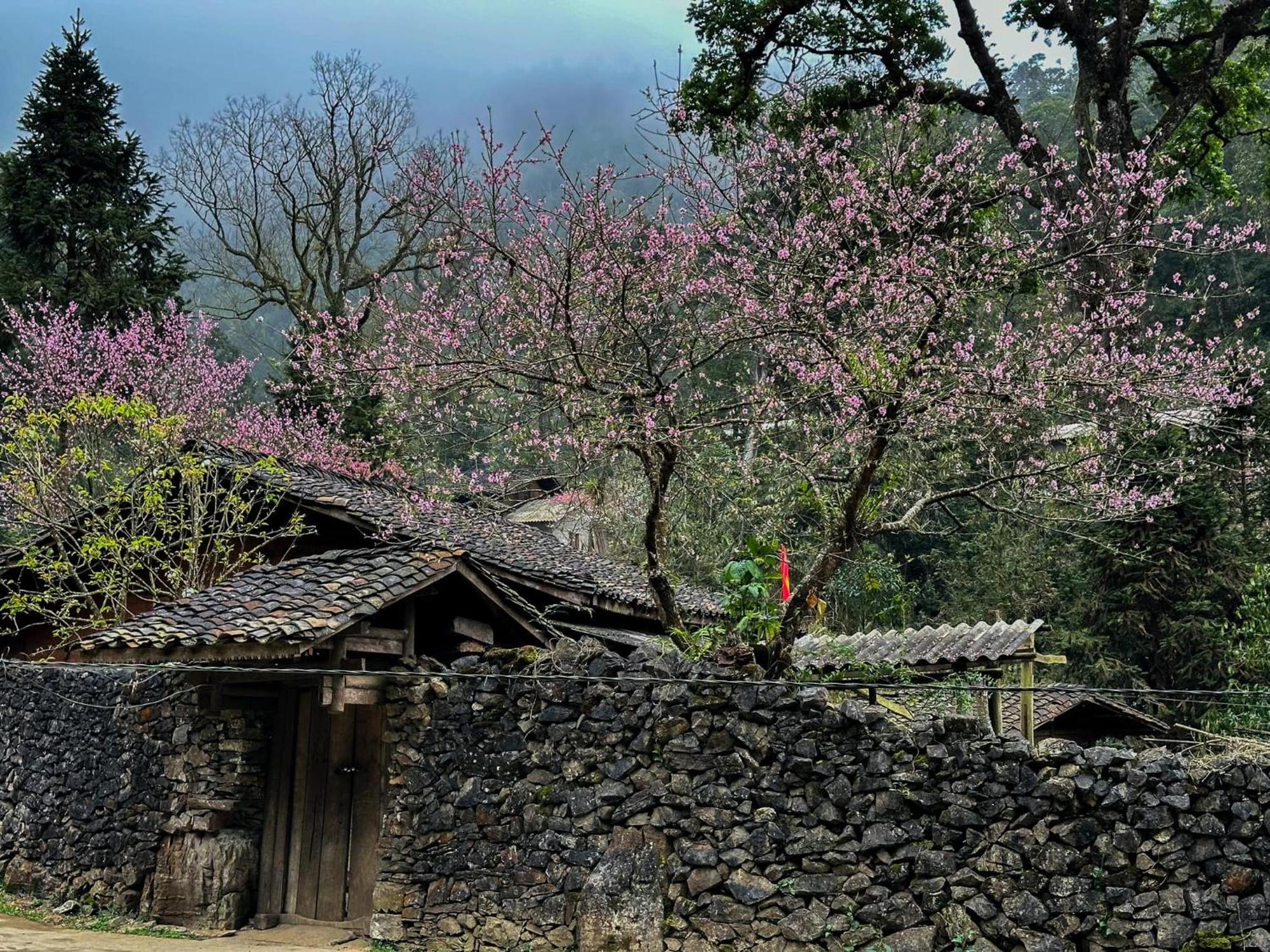 Ha Giang Eco Bungalow Villa Esterno foto